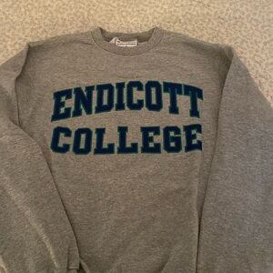 Champion Endicott sweatshirt